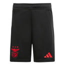 Conjunto Infantil Benfica Away 24/25