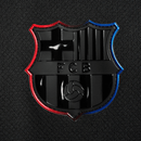 Camiseta FC Barcelona Visitante 2024/25